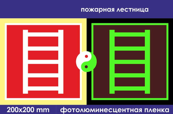 F03 пожарная лестница (фотолюминесцентная пленка, 200х200 мм) - Знаки безопасности - Фотолюминесцентные знаки - Магазин охраны труда и техники безопасности stroiplakat.ru